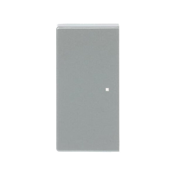 Busch-Jaeger Wippe 2-fach alusilber 6230-20-83